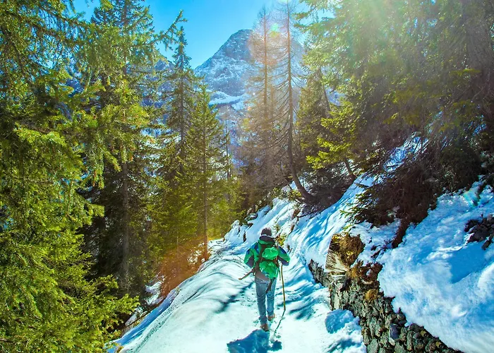 Principe Marmolada マルガ・チアペラ